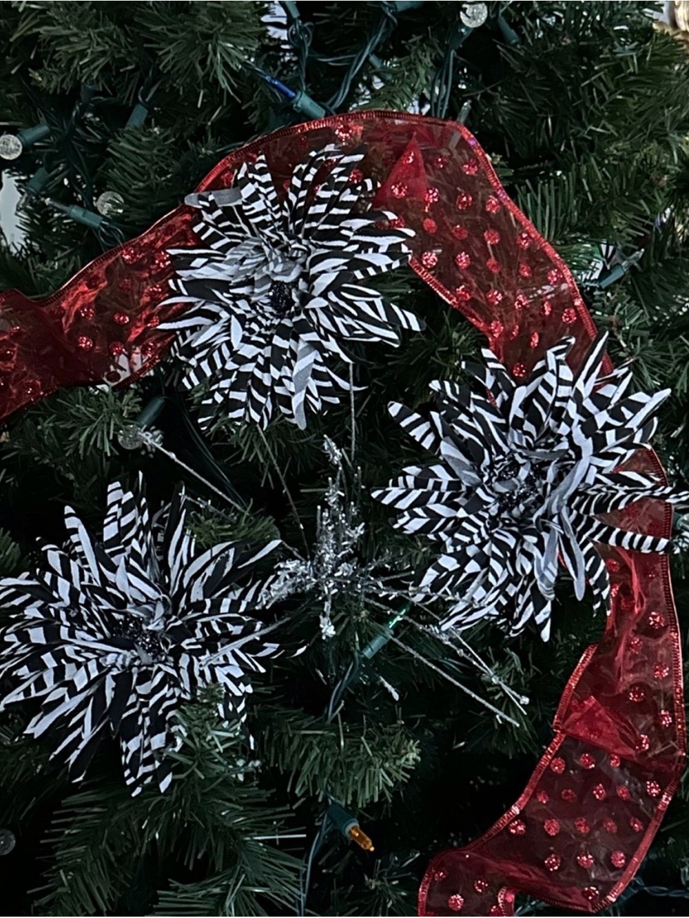 Celebrating Home Black & White Zebra Poinsettia Christmas Picks -